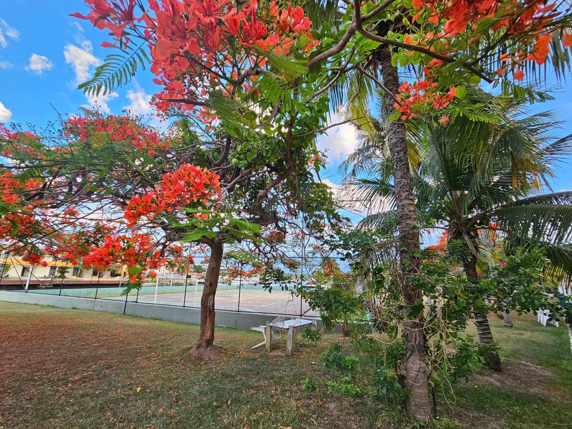 Condominio Cabo Frio Eksteriør bilde